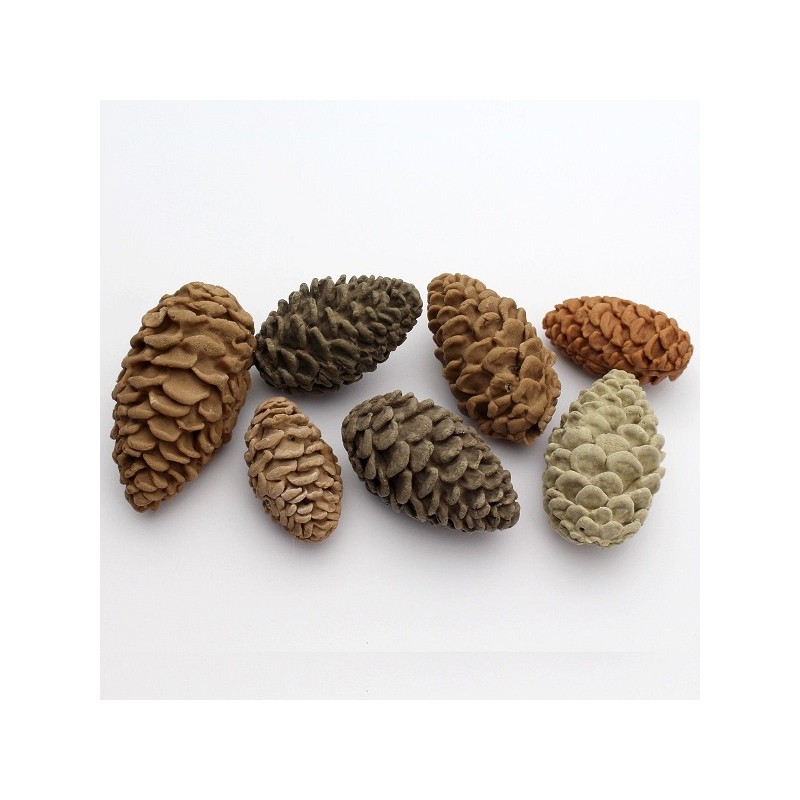 Katy Sue Designs Pine Cones Silicone Mould