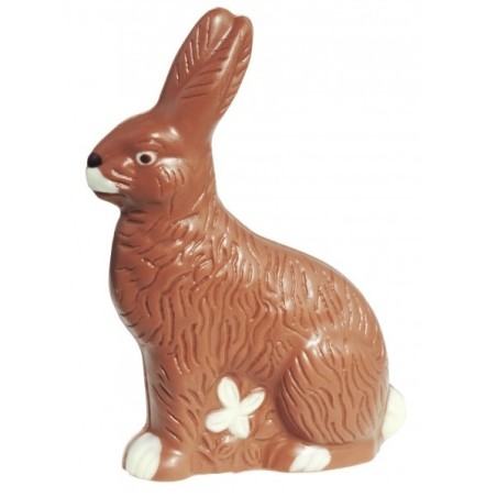 Sitting Chocolate Bunny Mould