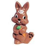 Bunny with Carrot Chocolate Mould, 18.5cm