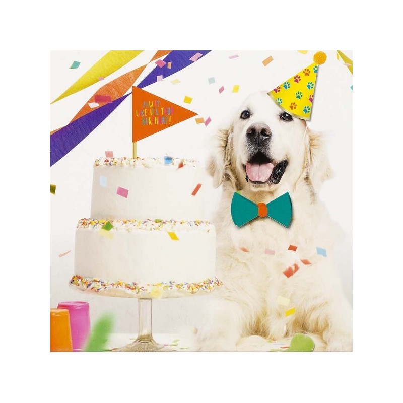 Talking Tables Dog Birthday Party Kit