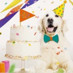 Talking Tables Dog Birthday Party Kit