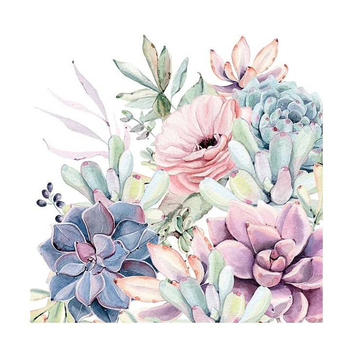 Sukkulenten Servietten Ambiente Succulent Love 13313285 Sukkulenten Servietten Ambiente Succulent Love 13313285