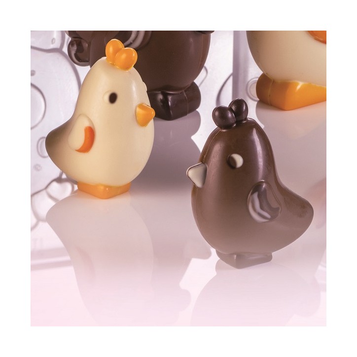Chick Magnetic Polycarbonate Mould