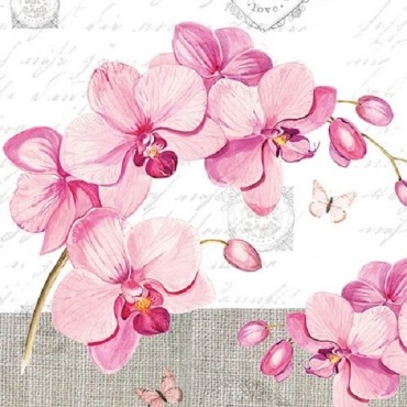 13309955 Orchideen Papierservietten