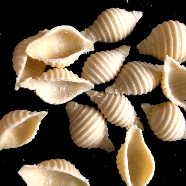 Muscheln Nudelnmatrize - Seashell Nudelaufsatz - Conchiglia Pastamaker Aufsatz