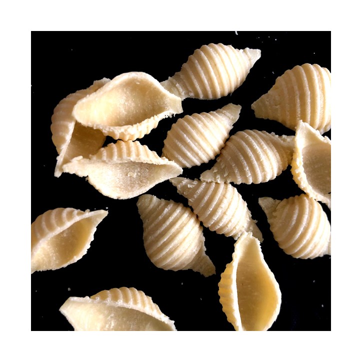 Conchiglia 4cm POM Die for Philips Pasta Maker Avance