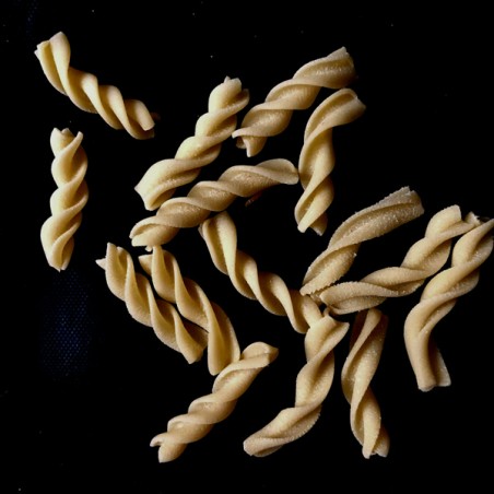 Fusilli S Pastadisc for Pastamaker Noodlemachine