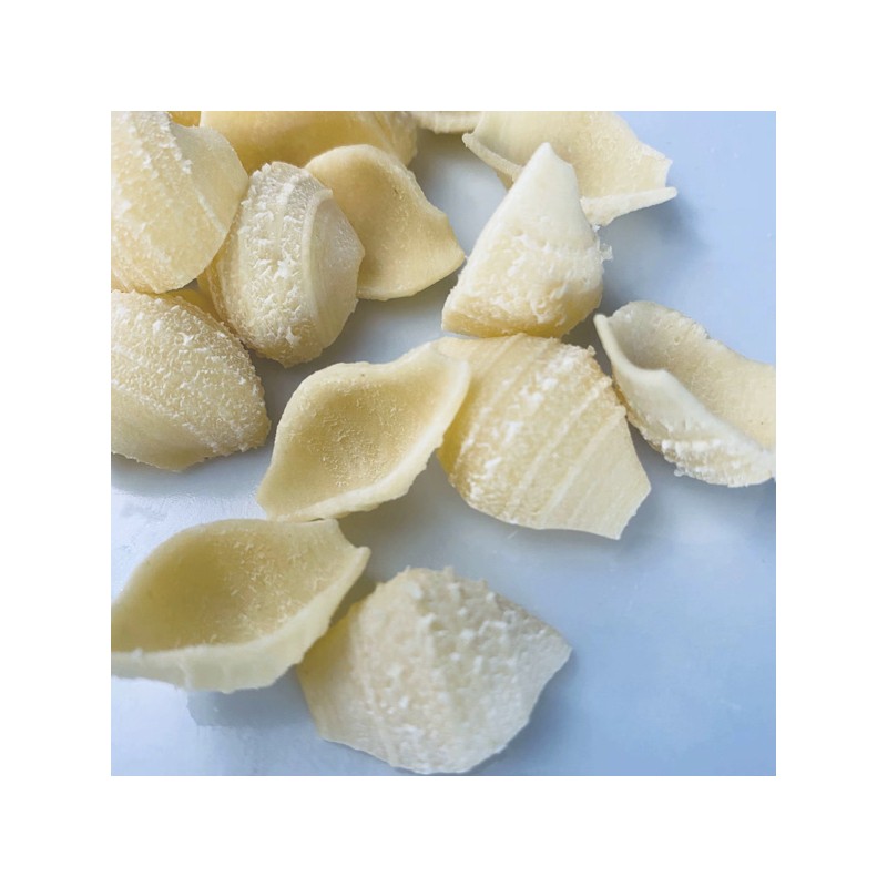 Conchiglie POM Pasta Disc for Philips Pastamaker Noodle Machine