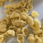 2cm Gnocchi POM Pasta Disc for Philips Pastamaker Noodle Machine