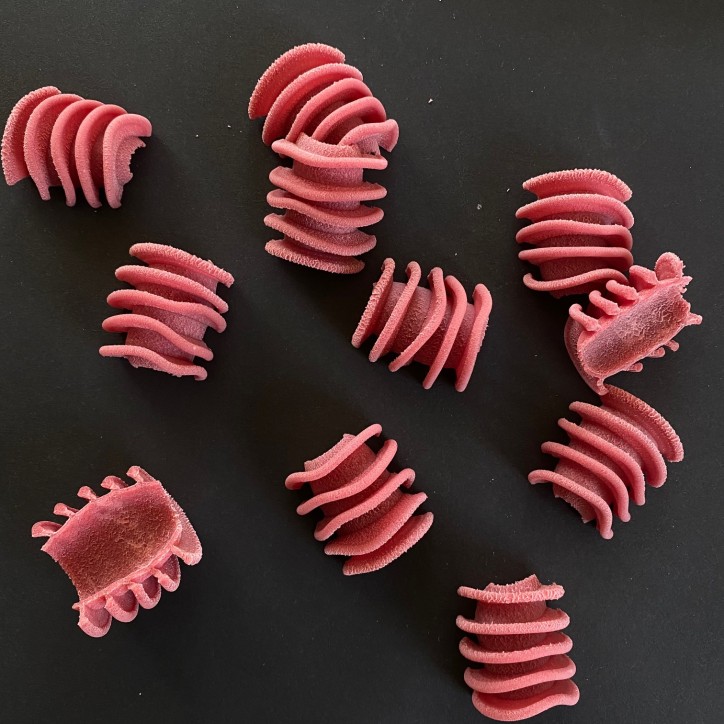 Radiatore XL POM Die for Philips Pasta Maker