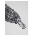 Maxwell & Williams Tea Towel Platypus by Nathan Ferlazzo