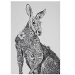 Maxwell & Williams Tea Towel Kangaroo by Nathan Ferlazzo