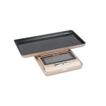 TAYLOR Precision Kitchen Scale