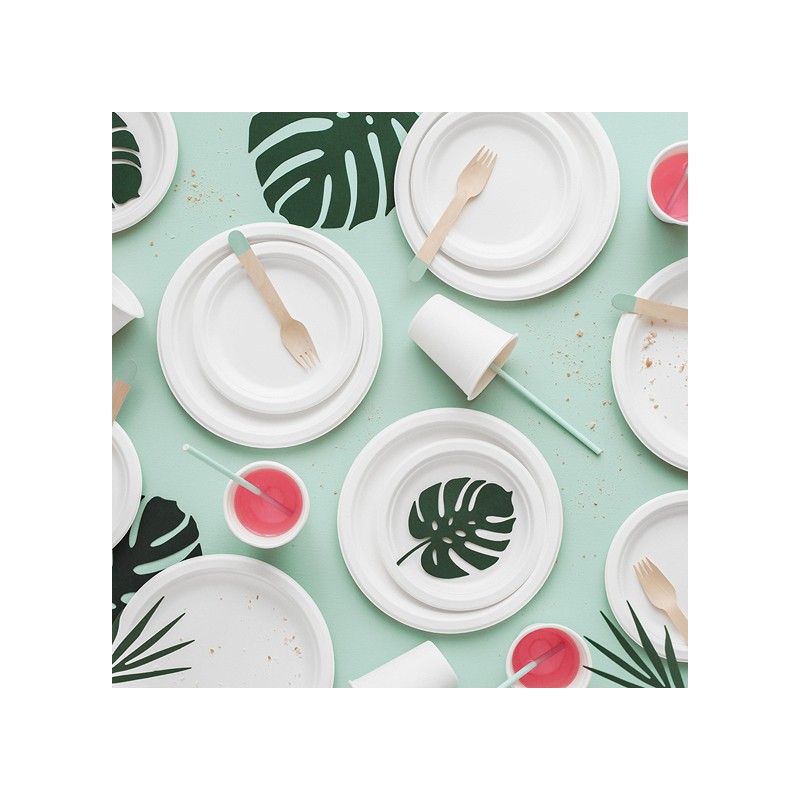 PartyDeco Eco Sugar Cane Plates, 6 pcs