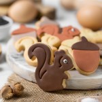 Decora Squirrel & Acorn Cookie Cutter Set, 2 pcs