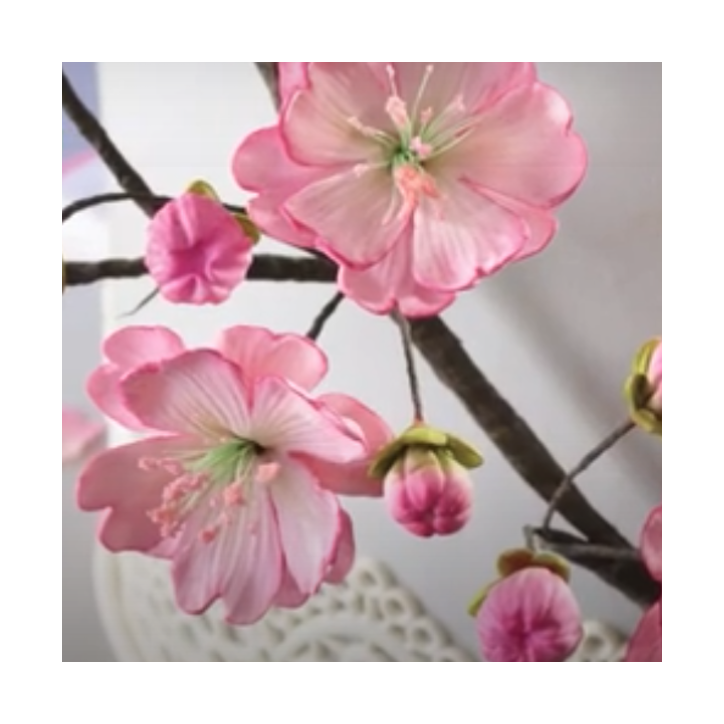 Katy Sue Designs Blossom Silicone Mould | Cherry Blossom Sugar Flowers Katy Sue Designs Blossom Silicone Mould | Cherry Blossom Sugar Flowers