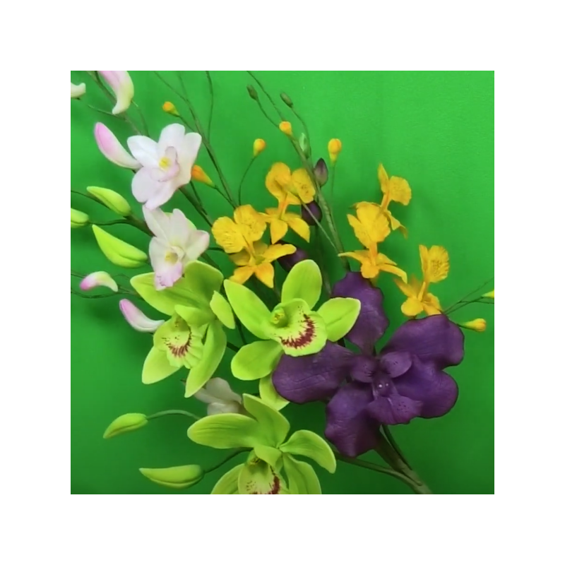 Katy Sue Designs Ultimate Orchideen Silikonform