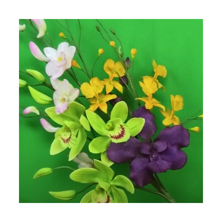 Katy Sue Ultimate Orchideen Silikonform | Zuckerblumen & Orchideen herstellen