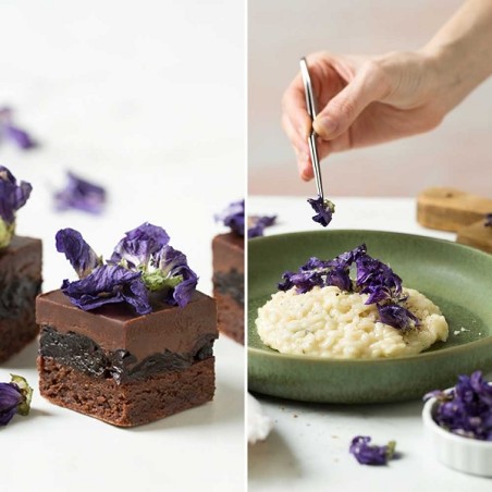 Edible Flowers - Purple Mauve Petals - Decorative Edible Flower Mauve