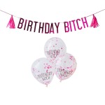 Ginger Ray Birthday Bitch Balloons und Bunting Kit Pink
