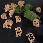 Gnom POM Pasta Disc for Philips Pastamaker Noodle Machine