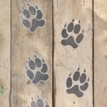 Ginger Ray Animal Pawprint Floor Stickers 17x13.3cm, 6 Stk