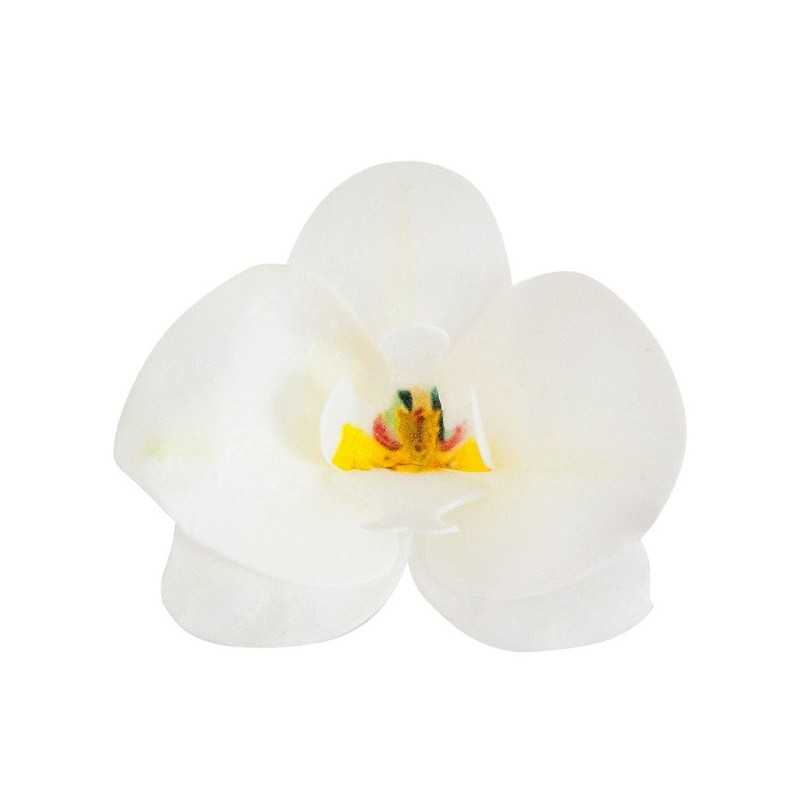 deKora 8.5cm Esspapier Orchideen Weiss, 10 Stück