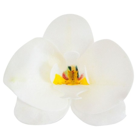 White Orchid Cake Decoration - 10 pcs Wafer Paper Orchids 8435035233987