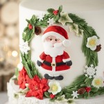 Karen Davies Weihnachtskekse Santa - Schneemann - Rentier Sugarcraft Mould