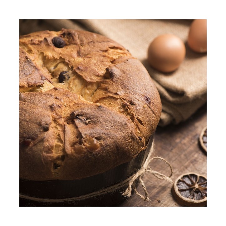 Decora Panettone Baking Moulds 1kg – Disposable Paper Forms Decora Panettone Baking Moulds 1kg – Disposable Paper Forms