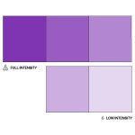 Colour Mill Oil Blend Lebensmittelfarbe Purple 20ml