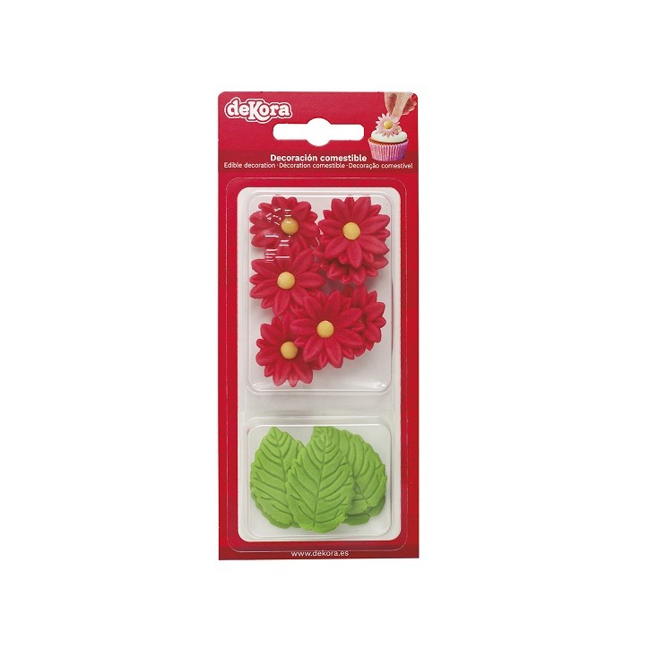 Rote Gänseblumen Kuchendekor - Zuckerdekor Set Margeriten Rot - Rote Daisy Tortendekoration Glutenfrei Rote Gänseblumen Kuchendekor - Zuckerdekor Set Margeriten Rot - Rote Daisy Tortendekoration Glutenfrei
