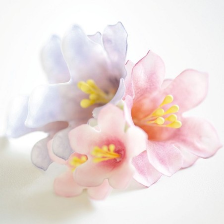 Weisse Blütenpollen - Syntentische Blütenpollen Gelb/Weiss - Flower Stamens für Zuckerblumen