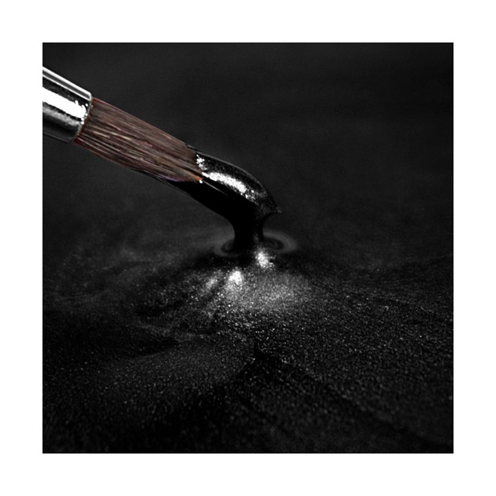 Metallic Black Lebensmittelfarbe Rainbow Dust 25ml kaufen Schweiz