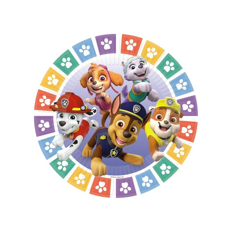 Amscan Paw Patrol Rainbow Plates, 8 pcs