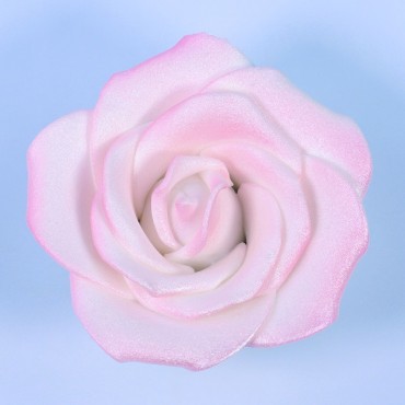 Grosse Zuckerrose Kuchendekor - Weisse Gumpaste Rose - Zuckerblumen Rose Tortendekor