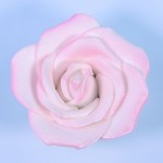 PME 90mm White Sugar Rose, 1 pcs