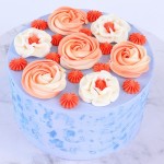 Jem Nozzles Set - Medium Cupcakes Collection 2D, 1ES, 17T