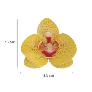 Edible Wafer Paper Orchids - Yellow Orchid Cake Decoration - Glutenfree Orchid Wafer Decorations