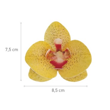 Orchideen Tortendekoration GLUTENFREI - Essbare Orchideen Kuchendekor - Gelbe Orchideen Blüten Esspapier Dekor