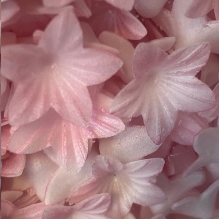 Rosa Mini Blumen Esspapier Blüten - Wafer Paper Mini Blumen Pink