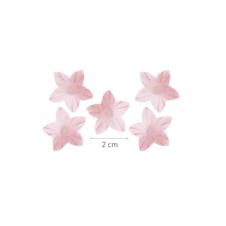 Esspapier Blumen Pink 2cm 400 Stück kaufen Schweiz | Torten Deko Blüten
