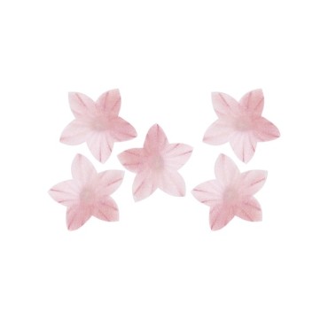 Edible Mini Flower Blossoms Pink - Edible Mini Flowers Pink Glutenfree Cake Decoration