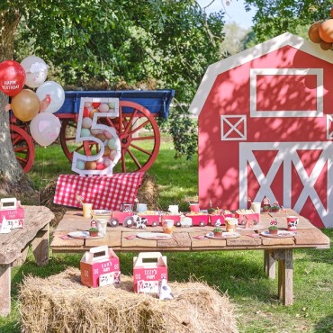 Farm Friends Party Box - Farmyard Partyboxes FA-108 Ginger Ray