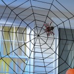 Amscan Spider Web Rope 152x152cm