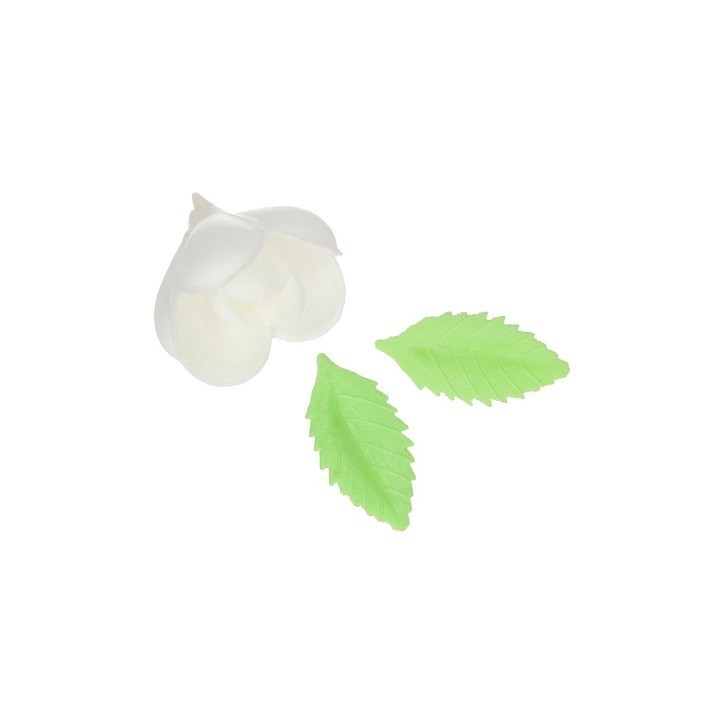 Esspapier Tulpen & Blätter Kuchendekor