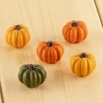 Silikomart Chocolate Mould Delica Pumpkin