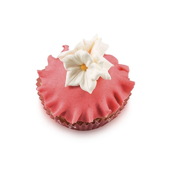 Petunia Cutter Set - Floral Decorations for Your Baking Creations Petunia Cutter Set - Floral Decorations for Your Baking Creations