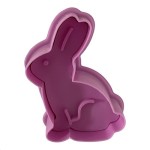 Ostern Plätzchen Ausstecher Set mit Auswerfer und Prägung