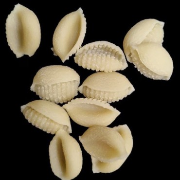 Beads Shell Pasta Disc for Philips Pastamaker – Shell-Shaped Pasta, Compatible with Avance, Premium, and Artisan Series